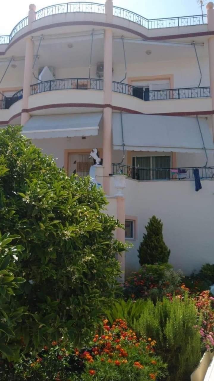 Apartments Rudi Orikum Kültér fotó